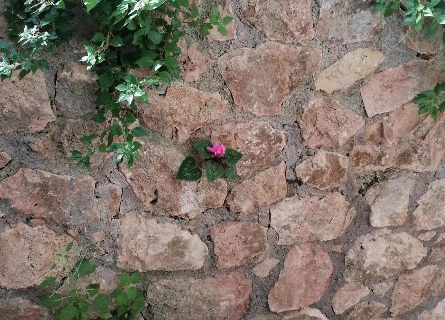 Appartamento Panoramica Flat Porto Santo Stefano  Italia